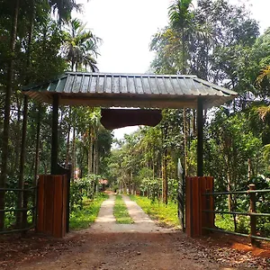 Hotel Orange Wood 