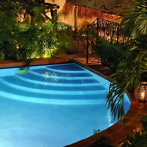 la-pasion-hotel-boutique.allrivieramayahotels.com/